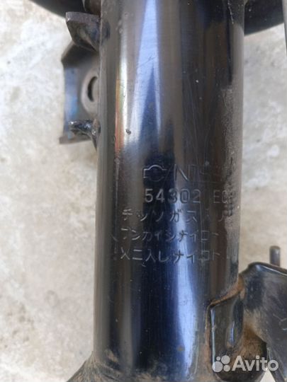 Сойки передние