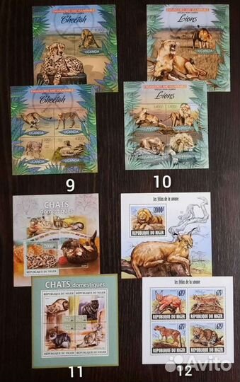 Коллекция фауна Кошки 2 (чистые )