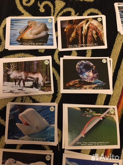 Наклейки Монетка от Урала до Ямала