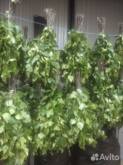 Веники для бани