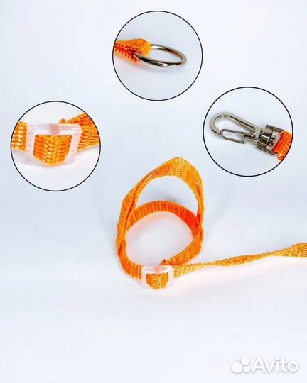 Шлейка для попугая