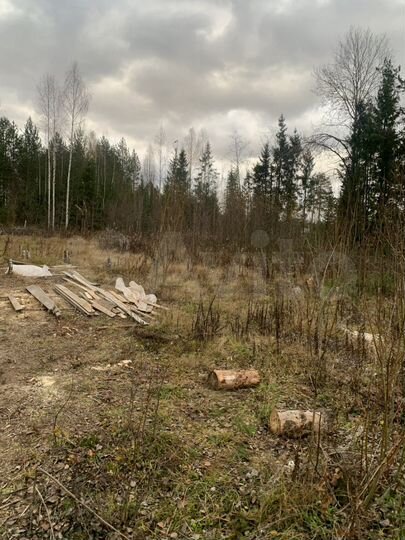 Участок 15 сот. (ИЖС)