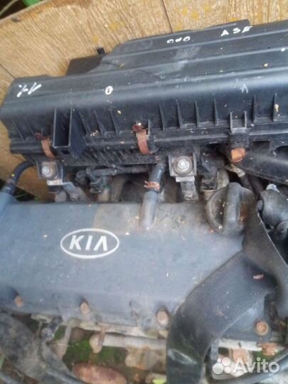 Двигатель kia рио 1.6 8кл