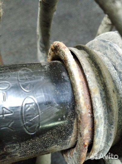 Амортизатор В сборе передний правый Kia Rio седан