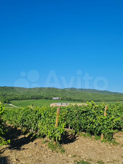 Участок 3 сот. (ИЖС)