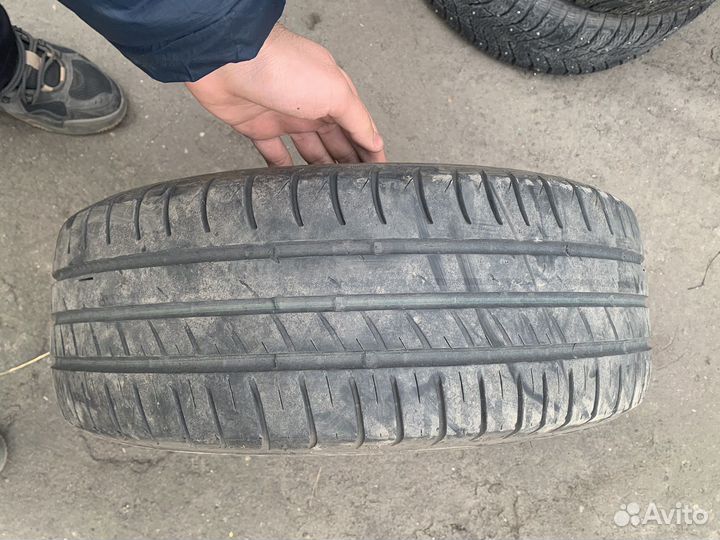 Estrada Winterri Wolf Energy 195/55 R15