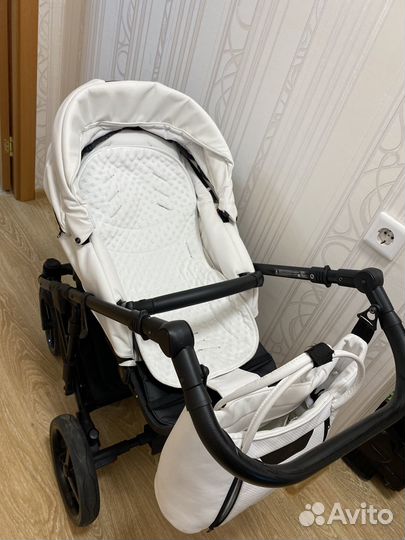 Коляска 2в1 adamex zico