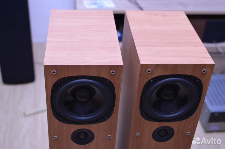 Акустические колонки Audio Pro Evidence Е.5