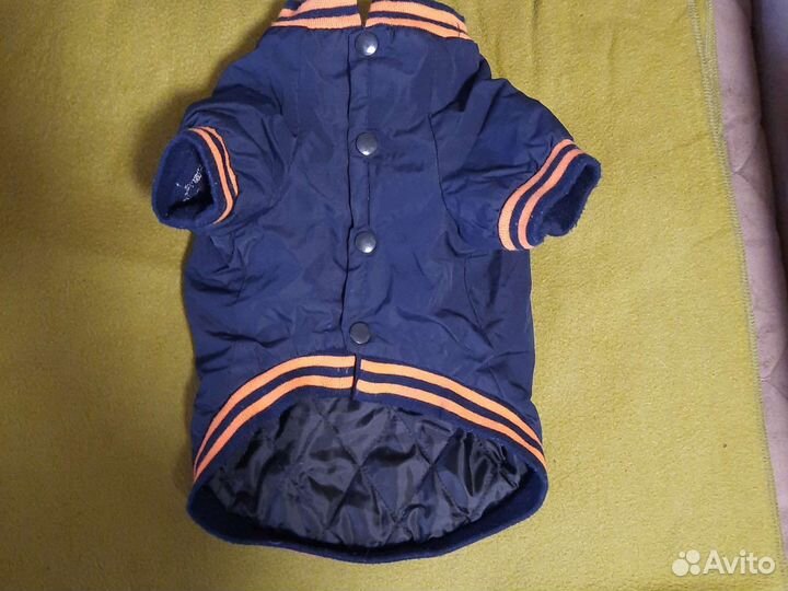 Одежда для маленьких собак бу