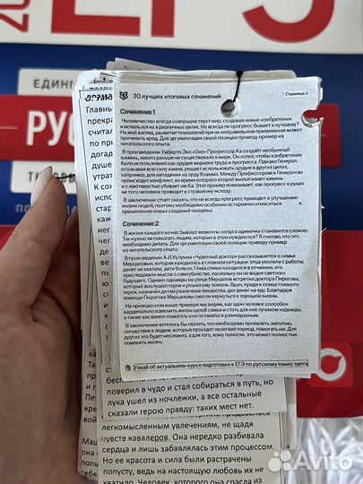 ЕГЭ русский язык 2024