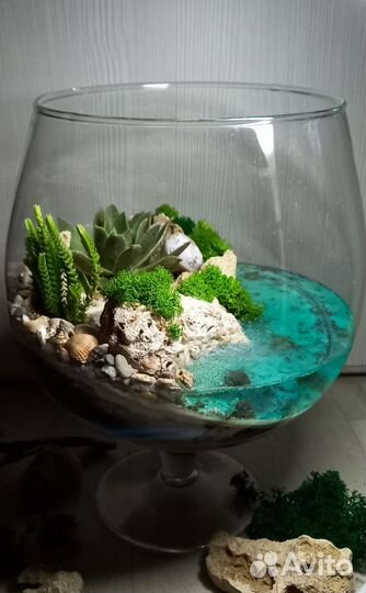 Флорариум с цветами в подарок