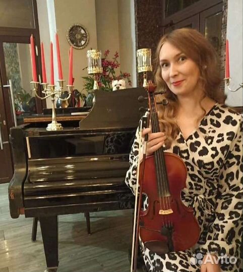 Скрипка на праздник