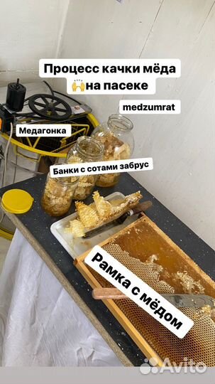 Мёд Дагестанский от собственника