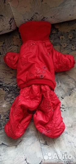 Одежда для собак