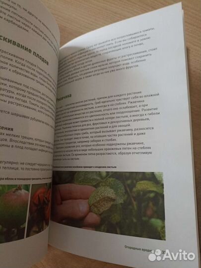 Книга сад и огород огородные вредители