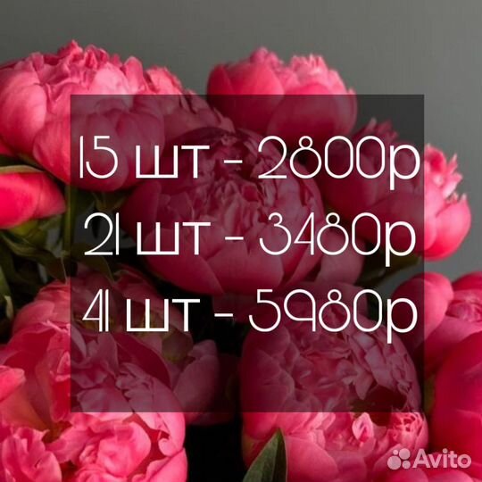 Пионы букет с доставкой