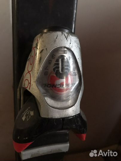 Горные лыжи