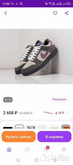 Красовский nike зимние