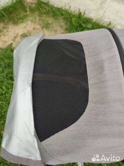 Коляска Baby Design husky