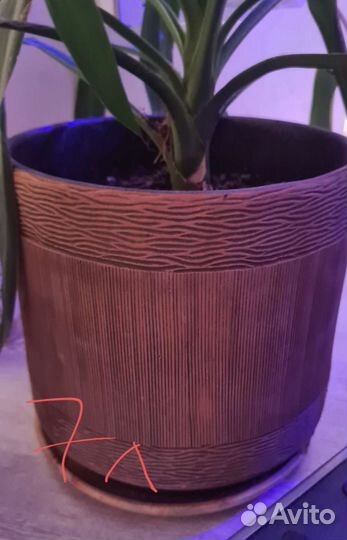 Керамические горшки для цветов бу