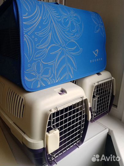 Переноска на прокат