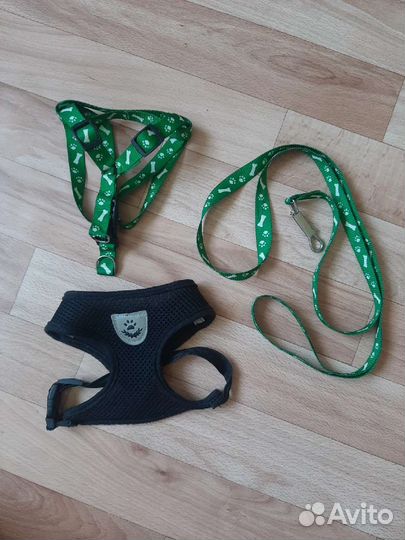 Переноска и аксессуары для животных