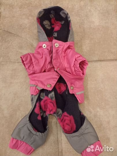 Комбинезон на маленькую собаку