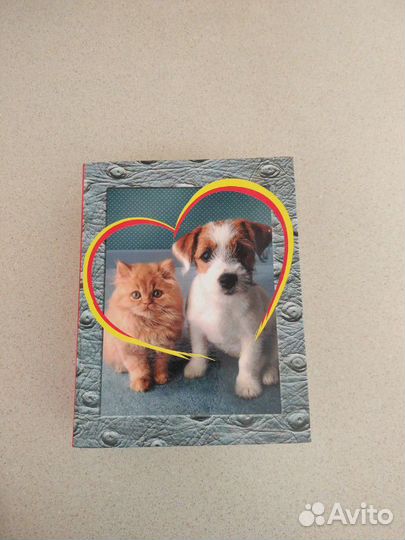 Новый фотоальбом