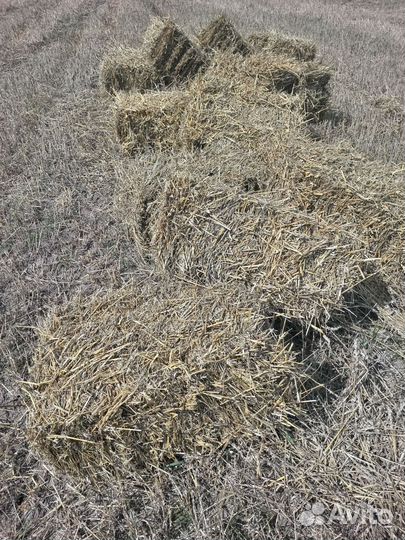 Солома в тюках