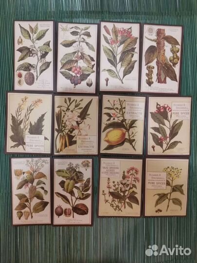 Наклейки с ботаническими иллюстрациями