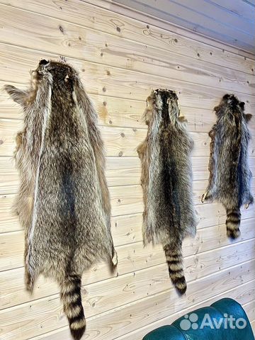 Шкура енота