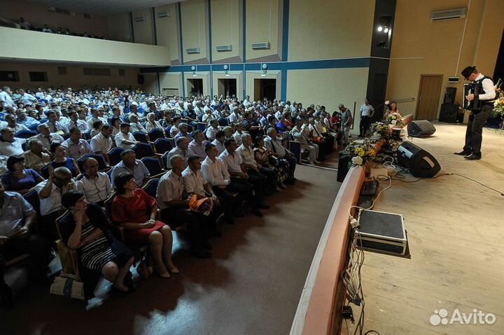 Музыкант артист аккордеонист баянист гармонист