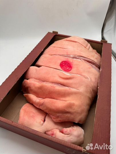 Мясо свинина