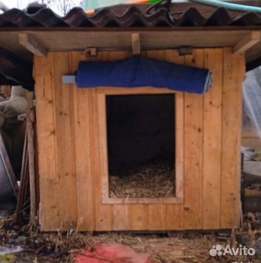 Будка для собаки утепленная