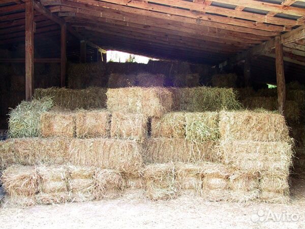 Солома. Сено. Овес
