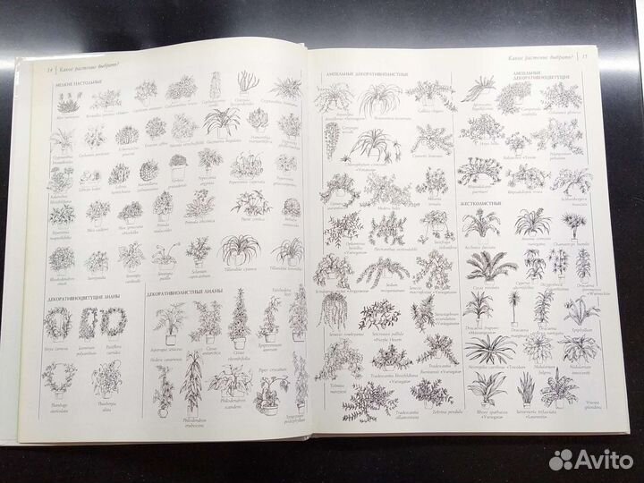 Книга-Комнатные растения