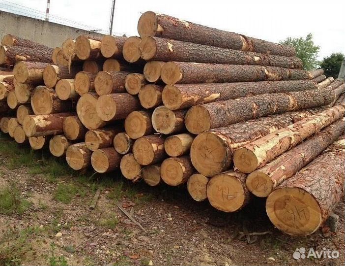 Лес кругляк лиственница