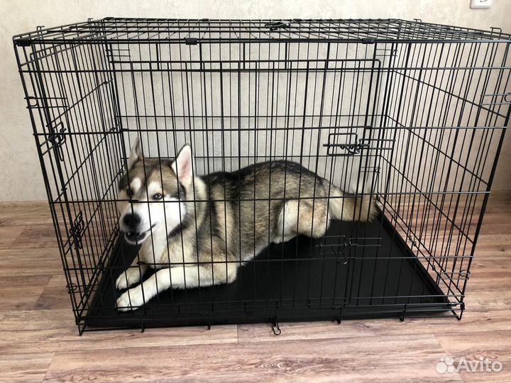 Клетка для крупных собак №6
