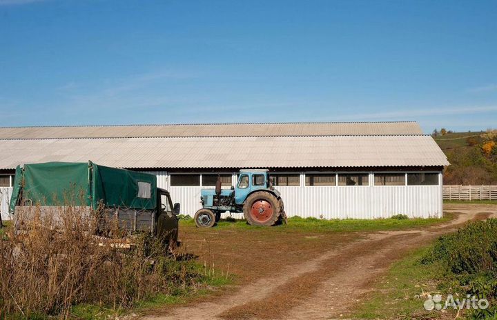 Ферма с возможностью расширения. Готовый бизнес