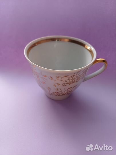 Костяной фарфор Старая Рига