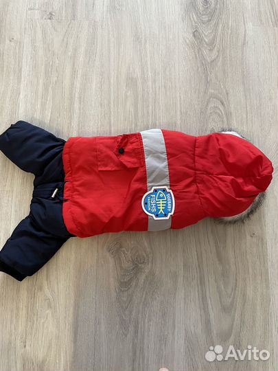 Комбинезон для маленькой собаки