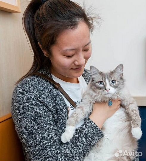 Скорая ветеринарная помощь. Ветеринарный врач