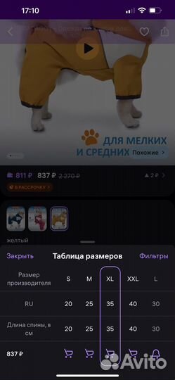 Дождевик для маленьких собак