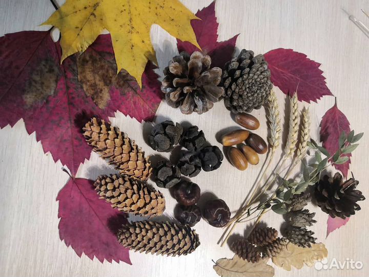 Набор из природных материалов