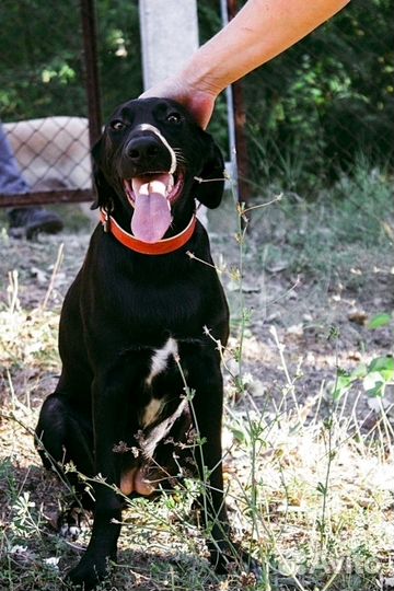 Малышка Эвочка