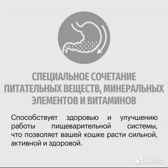 Сухой корм для беременных кошек и котят