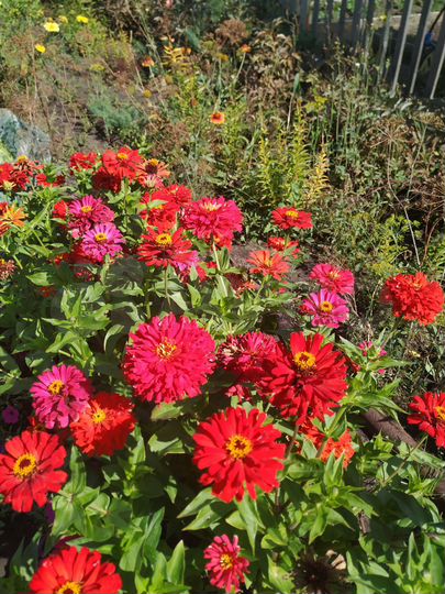 Дача 10 м² на участке 5 сот.