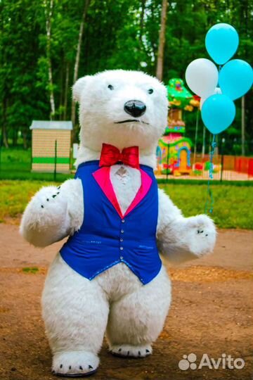 Праздники мероприятия, экспресс поздравление мишка