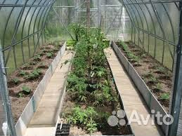 Теплица поликарбонат