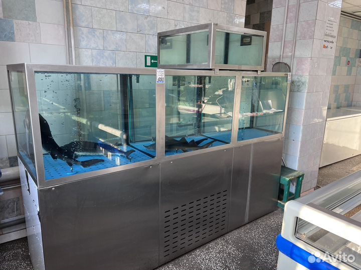 Аквариум для магазина